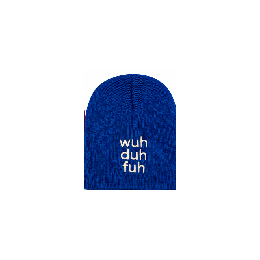 Blue Embroidered Beanie