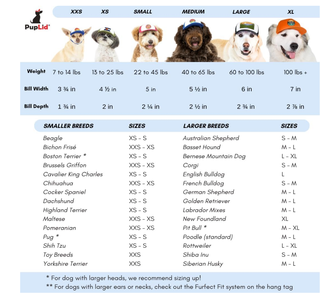 PupLid Dog Trucker Hat – Premium Sun Protection & Adjustable Fit Cap for Dogs